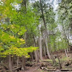Duffins Creek Trail - Ajax