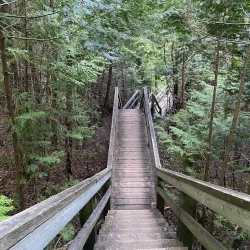 Heber Down Conservation Area - Ajax