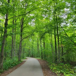 Heber Down Conservation Area - Ajax