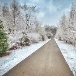 Heber Down Conservation Area - Ajax