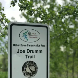 Heber Down Conservation Area - Ajax