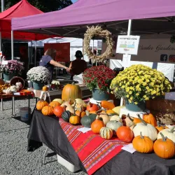 Aldergrove Farmers Market - Aldergrove