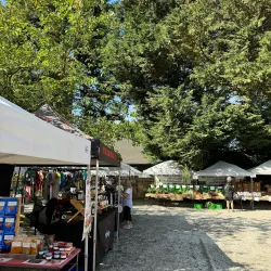 Aldergrove Farmers Market - Aldergrove
