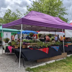 Aldergrove Farmers Market - Aldergrove