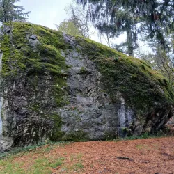 Aldergrove Regional Park - Aldergrove