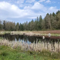 Aldergrove Regional Park - Aldergrove
