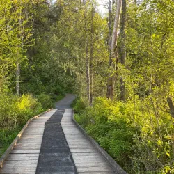 Aldergrove Regional Park - Aldergrove
