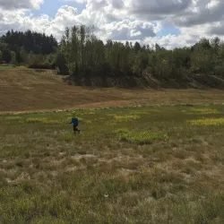 Aldergrove Regional Park - Aldergrove