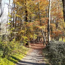 Aldergrove Regional Park - Aldergrove