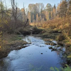 Aldergrove Regional Park - Aldergrove