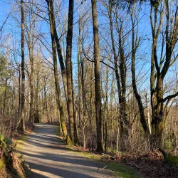 Aldergrove Regional Park - Aldergrove