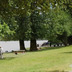 Derby Reach Regional Park - Aldergrove