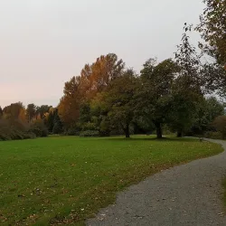 Derby Reach Regional Park - Aldergrove