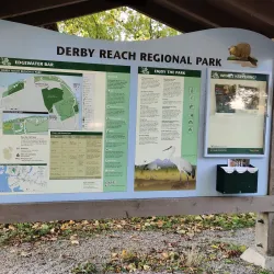 Derby Reach Regional Park - Aldergrove