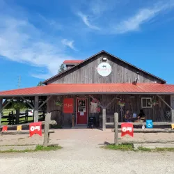 Alliston Farmers' Market - Alliston