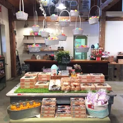 Alliston Farmers' Market - Alliston