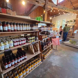 Alliston Farmers' Market - Alliston