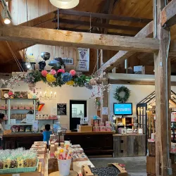 Alliston Farmers' Market - Alliston