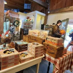 Alliston Farmers' Market - Alliston