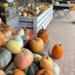 Alliston Farmers' Market - Alliston