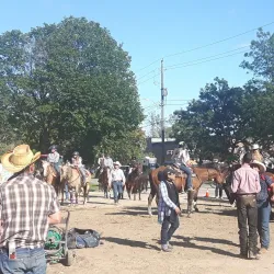 Alliston Memorial Arena - Alliston