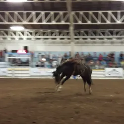 Alliston Memorial Arena - Alliston