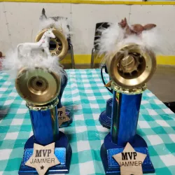 Alliston Memorial Arena - Alliston