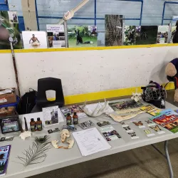 Alliston Memorial Arena - Alliston