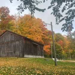 Alliston Museum - Alliston