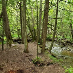 Hockley Valley Provincial Nature Reserve - Alliston