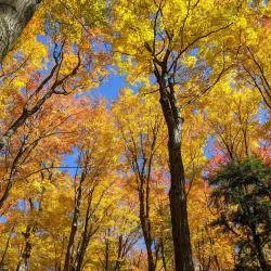 Hockley Valley Provincial Park - Alliston
