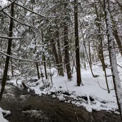 Hockley Valley Provincial Park - Alliston