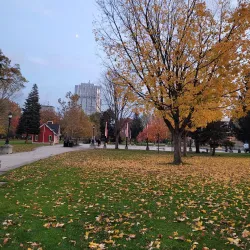 Victoria Park - Alliston