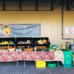 Amherst Farmers' Market - Amherst