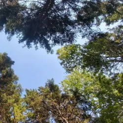 Amherst Shore Provincial Park - Amherst