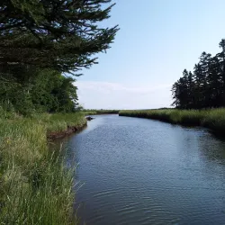 Amherst Shore Provincial Park - Amherst