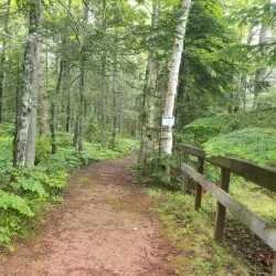 Amherst Shore Provincial Park - Amherst