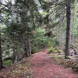 Amherst Shore Provincial Park - Amherst