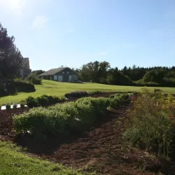 Amherst Waterfront - Amherst