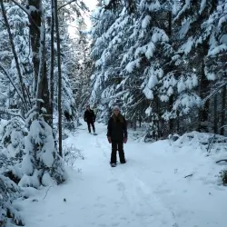 Amherst Waterfront - Amherst