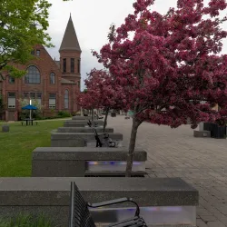 Victoria Park - Amherst