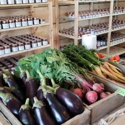 Amherstburg Farmers' Market - Amherstburg