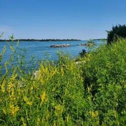 Downtown Amherstburg - Amherstburg