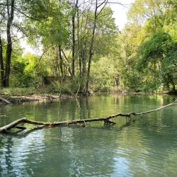 Peche Island - Amherstburg