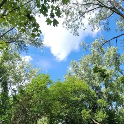 Peche Island - Amherstburg