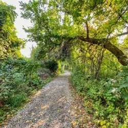 Peche Island - Amherstburg