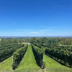 Luckett Vineyards - Annapolis Valley