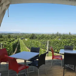 Luckett Vineyards - Annapolis Valley