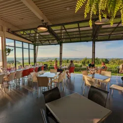 Luckett Vineyards - Annapolis Valley