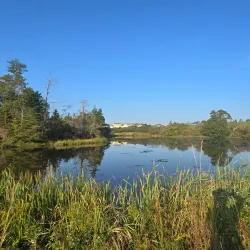 Antigonish Landing Trail - Antigonish
